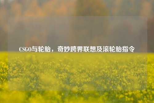 CSGO与轮胎,奇妙跨界联想及滚轮胎指令