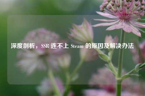 深度剖析，SSR 连不上 Steam 的原因及解决办法