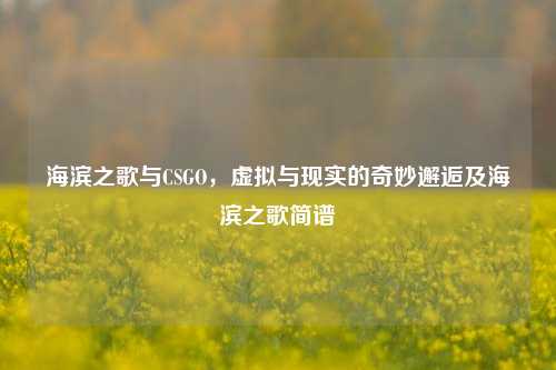 海滨之歌与CSGO,虚拟与现实的奇妙邂逅及海滨之歌简谱
