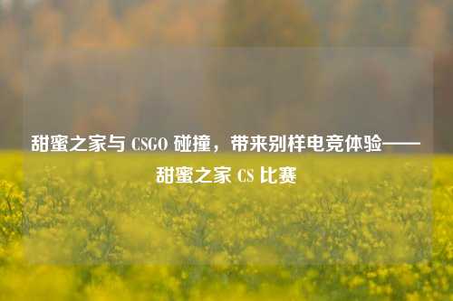 甜蜜之家与 CSGO 碰撞,带来别样电竞体验——甜蜜之家 CS 比赛