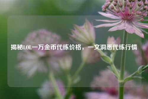 揭秘LOL一万金币代练价格,一文洞悉代练行情