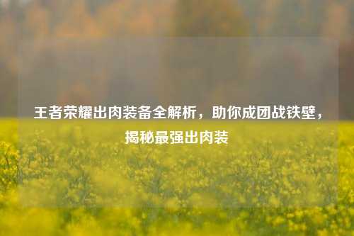 王者荣耀出肉装备全解析,助你成团战铁壁,揭秘最强出肉装