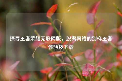 探寻王者荣耀无联网版,脱离网络的别样王者体验及下载