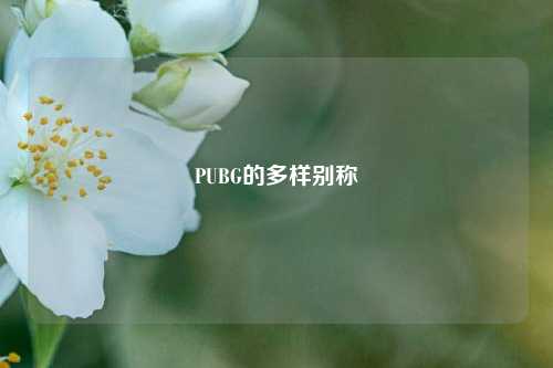 PUBG的多样别称