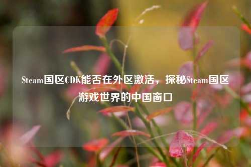 Steam国区CDK能否在外区激活,探秘Steam国区游戏世界的中国窗口