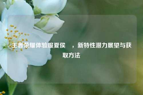 王者荣耀体验服夏侯惇,新特性潜力展望与获取方法