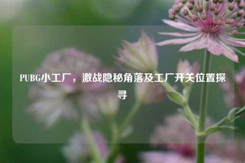 PUBG小工厂,激战隐秘角落及工厂开关位置探寻