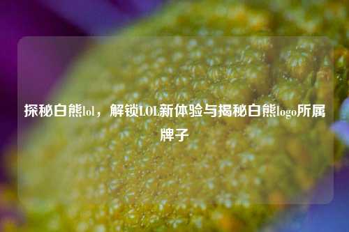 探秘白熊lol，解锁LOL新体验与揭秘白熊logo所属牌子