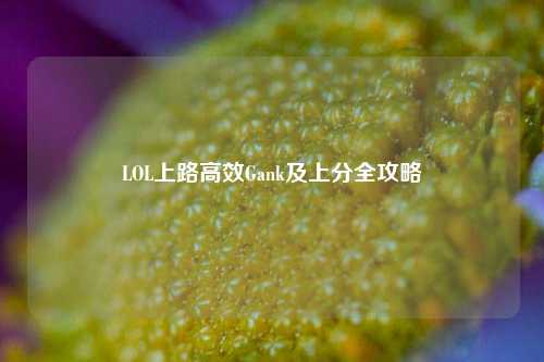 LOL上路高效Gank及上分全攻略