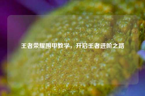 王者荣耀围甲教学,开启王者进阶之路