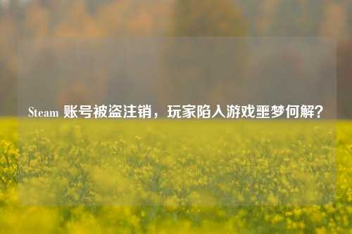 Steam 账号被盗注销,玩家陷入游戏噩梦何解?
