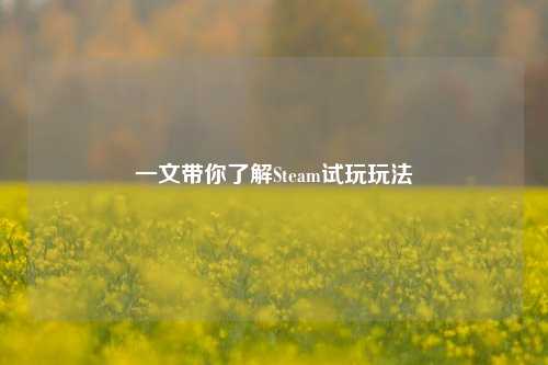 一文带你了解Steam试玩玩法