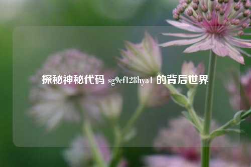 探秘神秘代码 sg9cf128hya1 的背后世界
