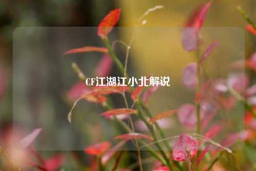 CF江湖江小北解说