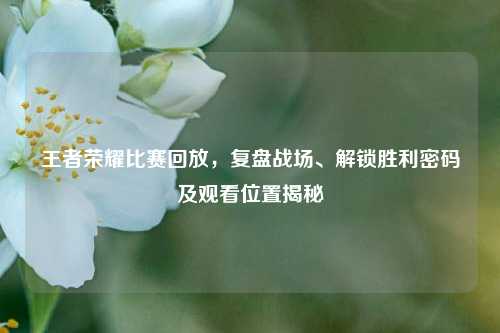 王者荣耀比赛回放,复盘战场、解锁胜利密码及观看位置揭秘