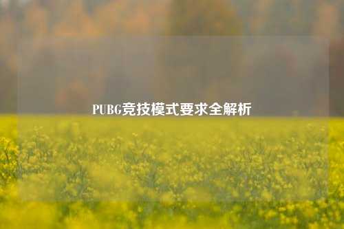 PUBG竞技模式要求全解析