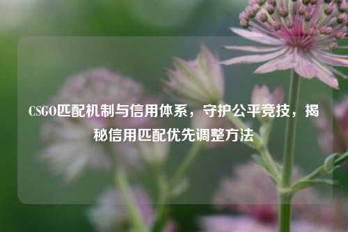 CSGO匹配机制与信用体系，守护公平竞技，揭秘信用匹配优先调整方法