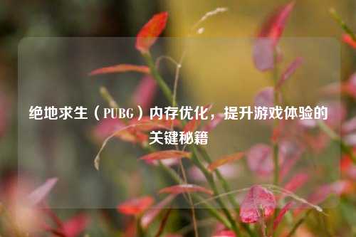 绝地求生（PUBG）内存优化，提升游戏体验的关键秘籍