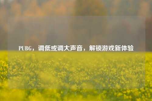 PUBG,调低或调大声音,解锁游戏新体验