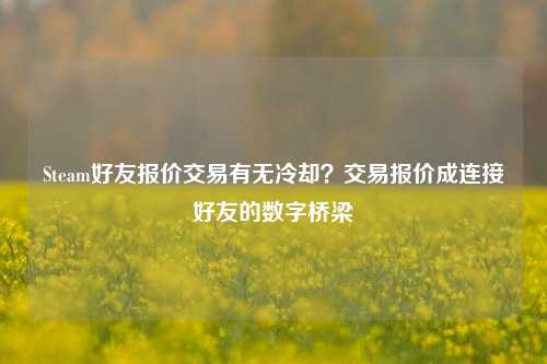 Steam好友报价交易有无冷却？交易报价成连接好友的数字桥梁