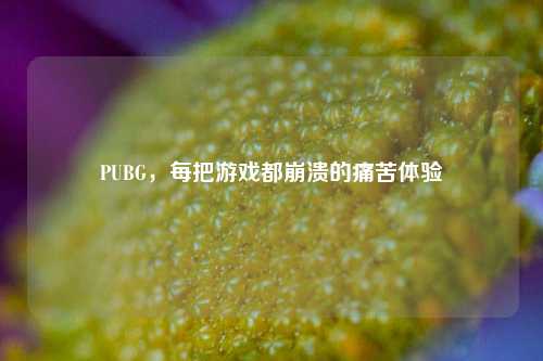 PUBG，每把游戏都崩溃的痛苦体验