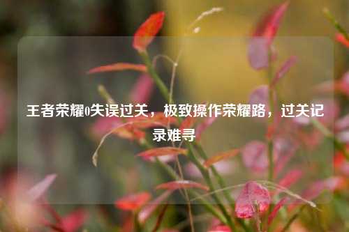 王者荣耀0失误过关，极致操作荣耀路，过关记录难寻