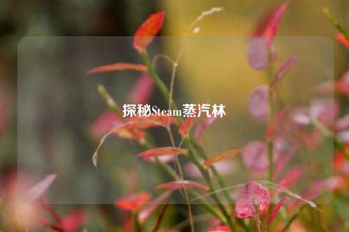 探秘Steam蒸汽林