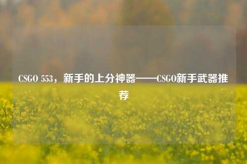 CSGO 553,新手的上分神器——CSGO新手武器推荐