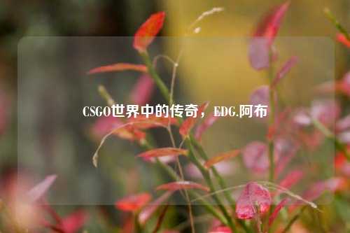 CSGO世界中的传奇,EDG.阿布