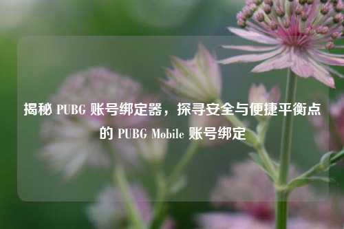 揭秘 PUBG 账号绑定器,探寻安全与便捷平衡点的 PUBG Mobile 账号绑定