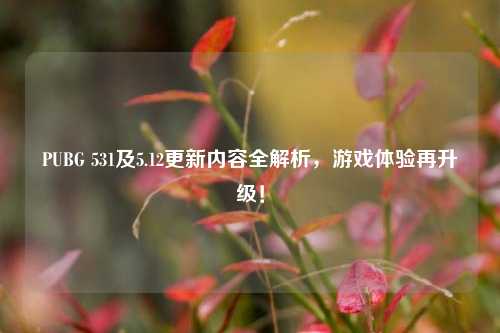 PUBG 531及5.12更新内容全解析，游戏体验再升级！