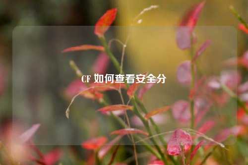 CF 如何查看安全分