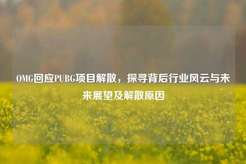 OMG回应PUBG项目解散,探寻背后行业风云与未来展望及解散原因