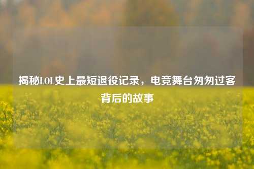 揭秘LOL史上最短退役记录,电竞舞台匆匆过客背后的故事