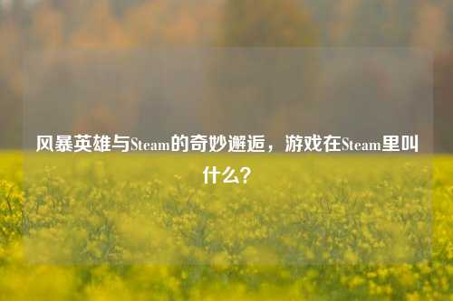 风暴英雄与Steam的奇妙邂逅,游戏在Steam里叫什么?