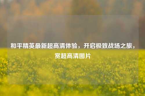 和平精英最新超高清体验,开启极致战场之旅,赏超高清图片