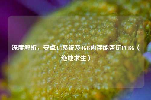 深度解析，安卓4.4系统及4GB内存能否玩PUBG（绝地求生）