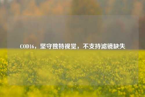 COD16,坚守独特视觉,不支持滤镜缺失