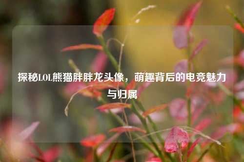 探秘LOL熊猫胖胖龙头像,萌趣背后的电竞魅力与归属