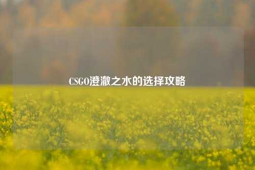 CSGO澄澈之水的选择攻略