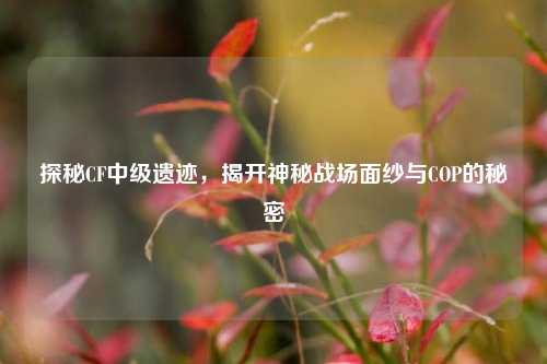 探秘CF中级遗迹,揭开神秘战场面纱与COP的秘密