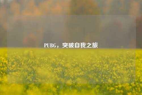 PUBG,突破自我之旅