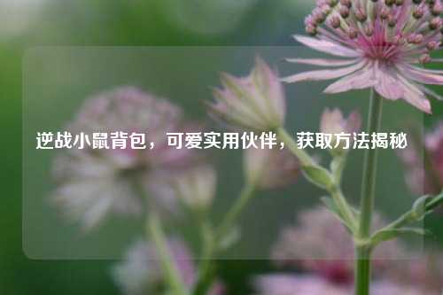 逆战小鼠背包,可爱实用伙伴,获取方法揭秘