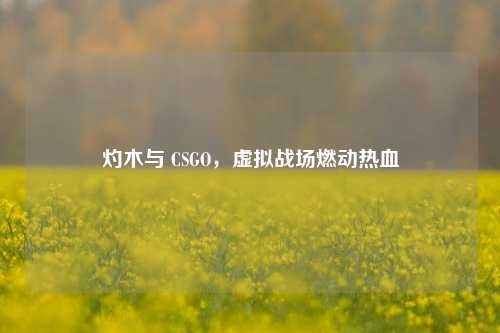 灼木与 CSGO,虚拟战场燃动热血